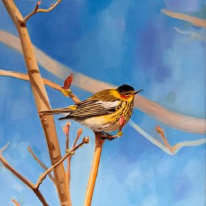 Laura Grime Painting – Easter Warbler