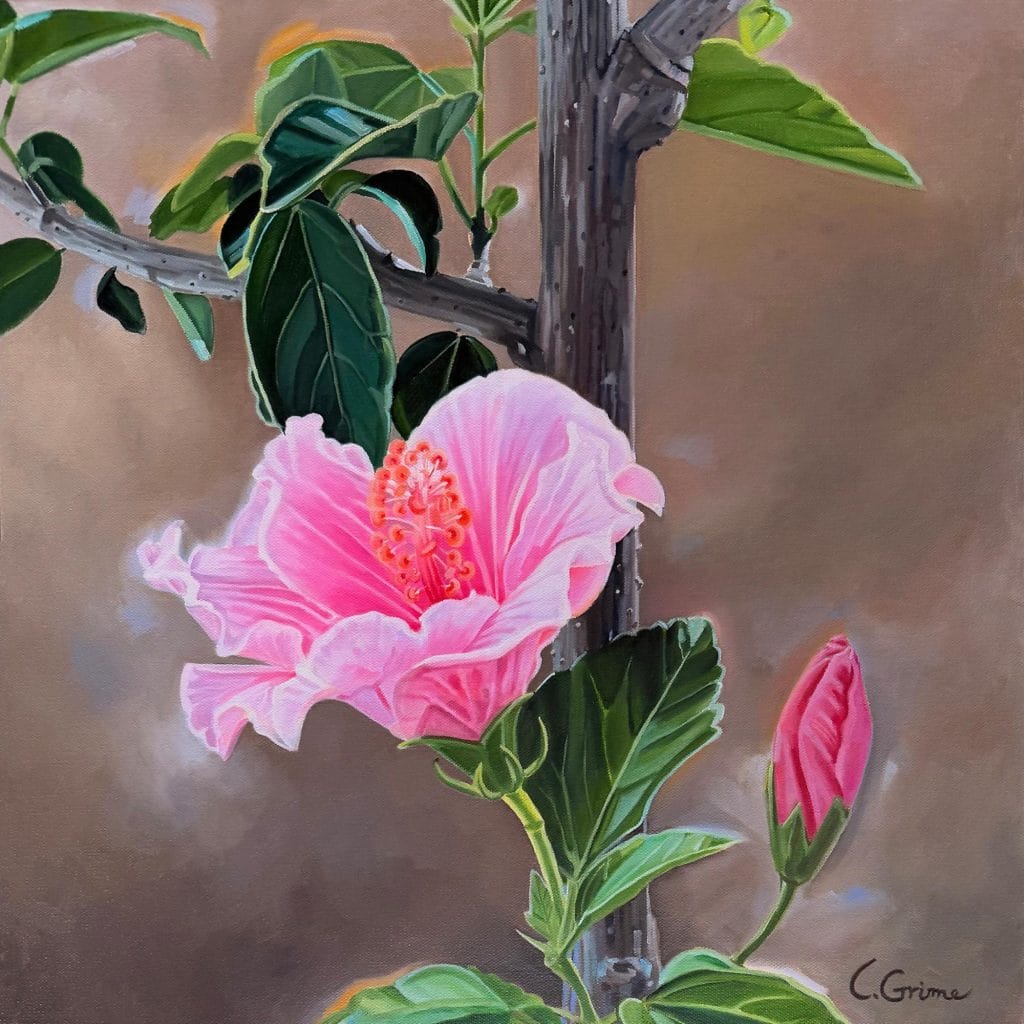Laura Grime Painting – Kitchen Hibiscus